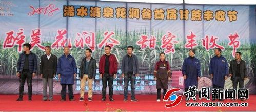 浠水二小爆料新闻事件最新,揭秘校园事件背后的真相